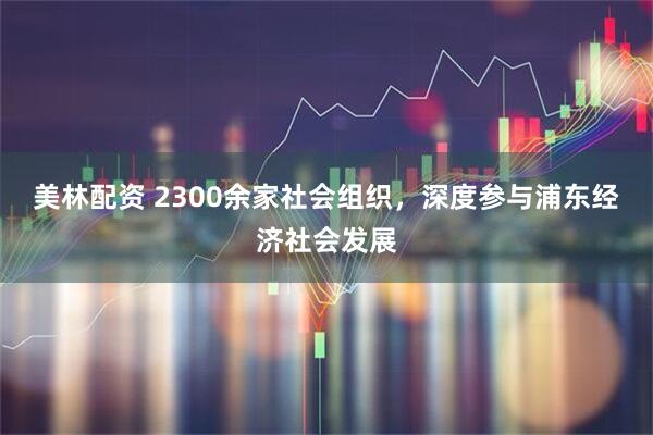 美林配资 2300余家社会组织，深度参与浦东经济社会发展