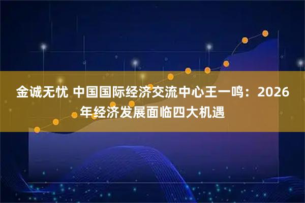 金诚无忧 中国国际经济交流中心王一鸣：2026年经济发展面临四大机遇