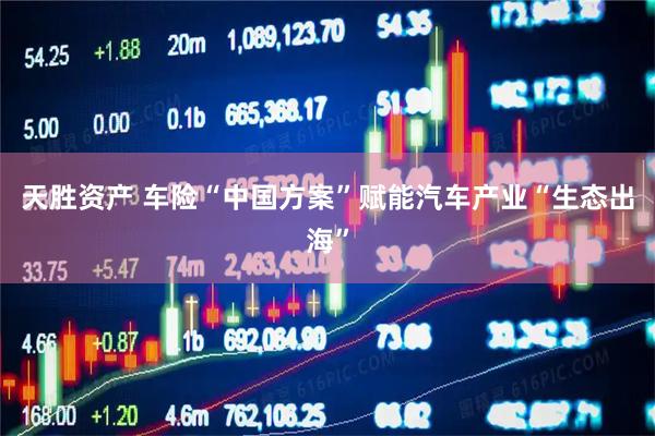 天胜资产 车险“中国方案”赋能汽车产业“生态出海”